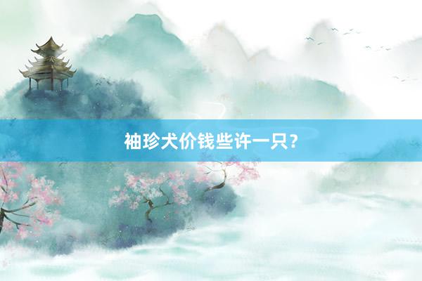 袖珍犬价钱些许一只？