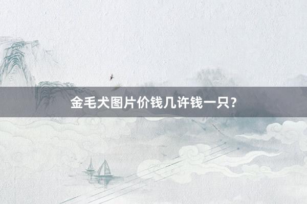 金毛犬图片价钱几许钱一只？